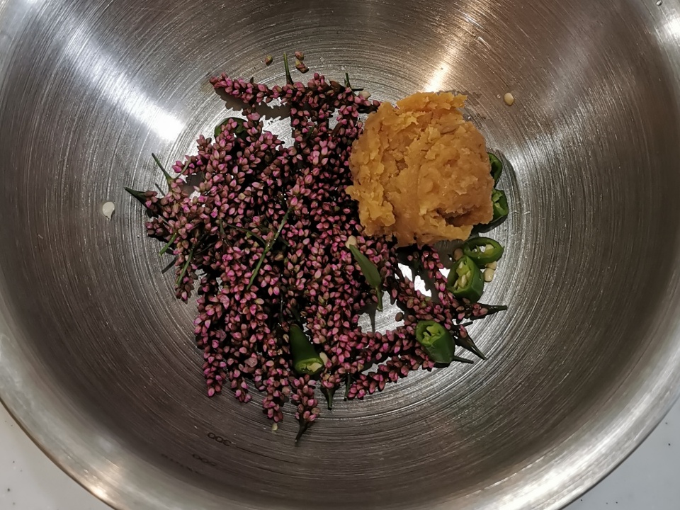 イヌタデ（犬蓼）を食べる！赤まんまを美味しく食べる方法